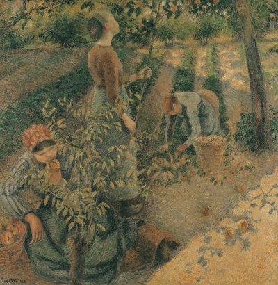 I raccoglitori di mele, 1886 da Camille Jacob Pissarro